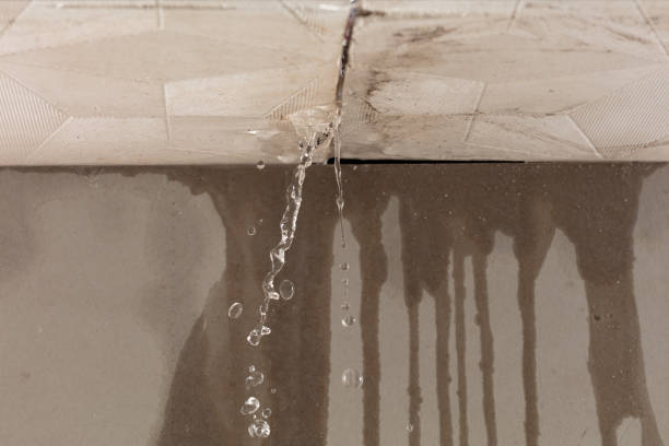 Professional Structural Drying technician working in Dallas, WV
